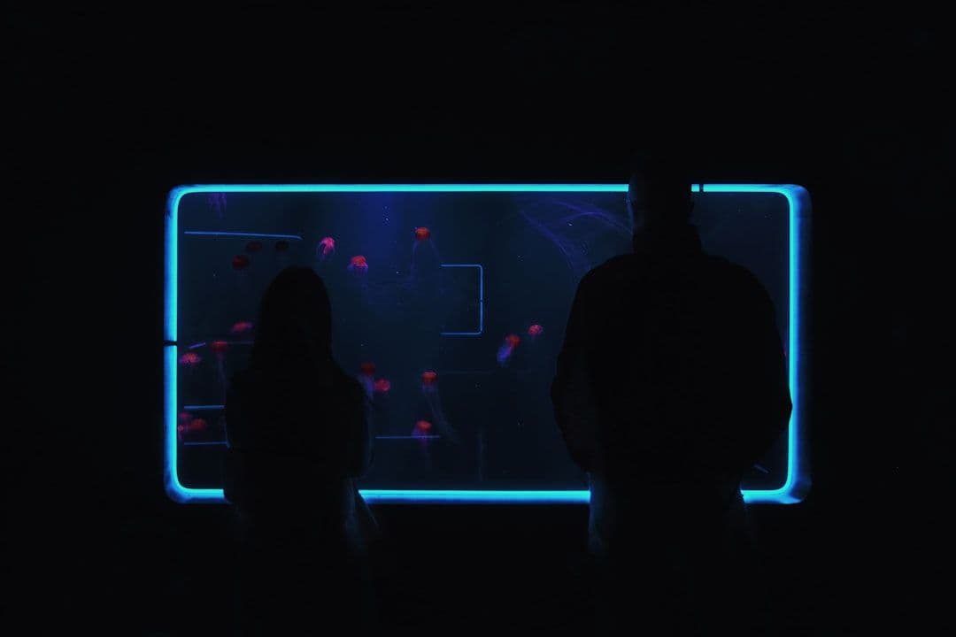 The Death of Digital Fatigue: Why Zoom’s New AI Features Are Reshaping Human Connection